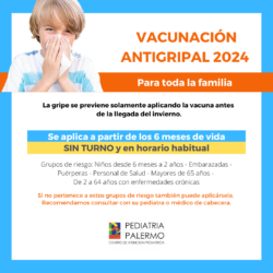 Vacuna antigripal 2024